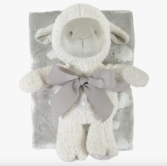Blanket Toy Set