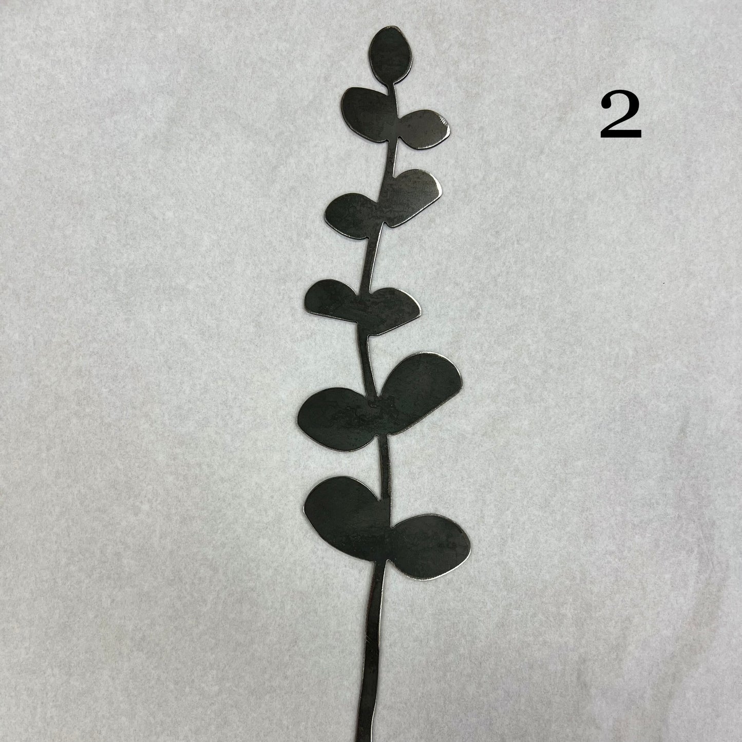 Raw Steel Eucalyptus Stems