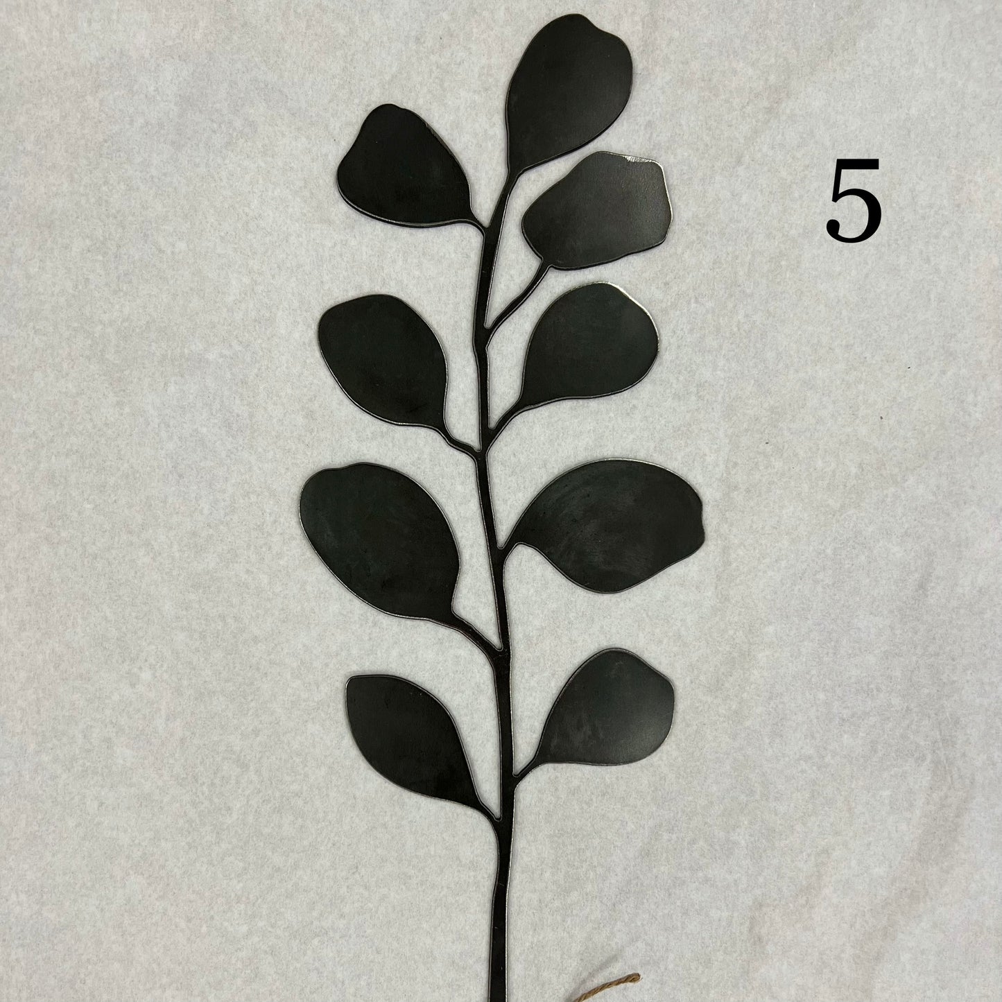Raw Steel Eucalyptus Stems