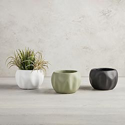 Asymmetrical planter