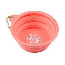 Collapsible Water Bowl