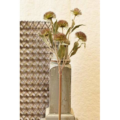 27" globe thistle spray