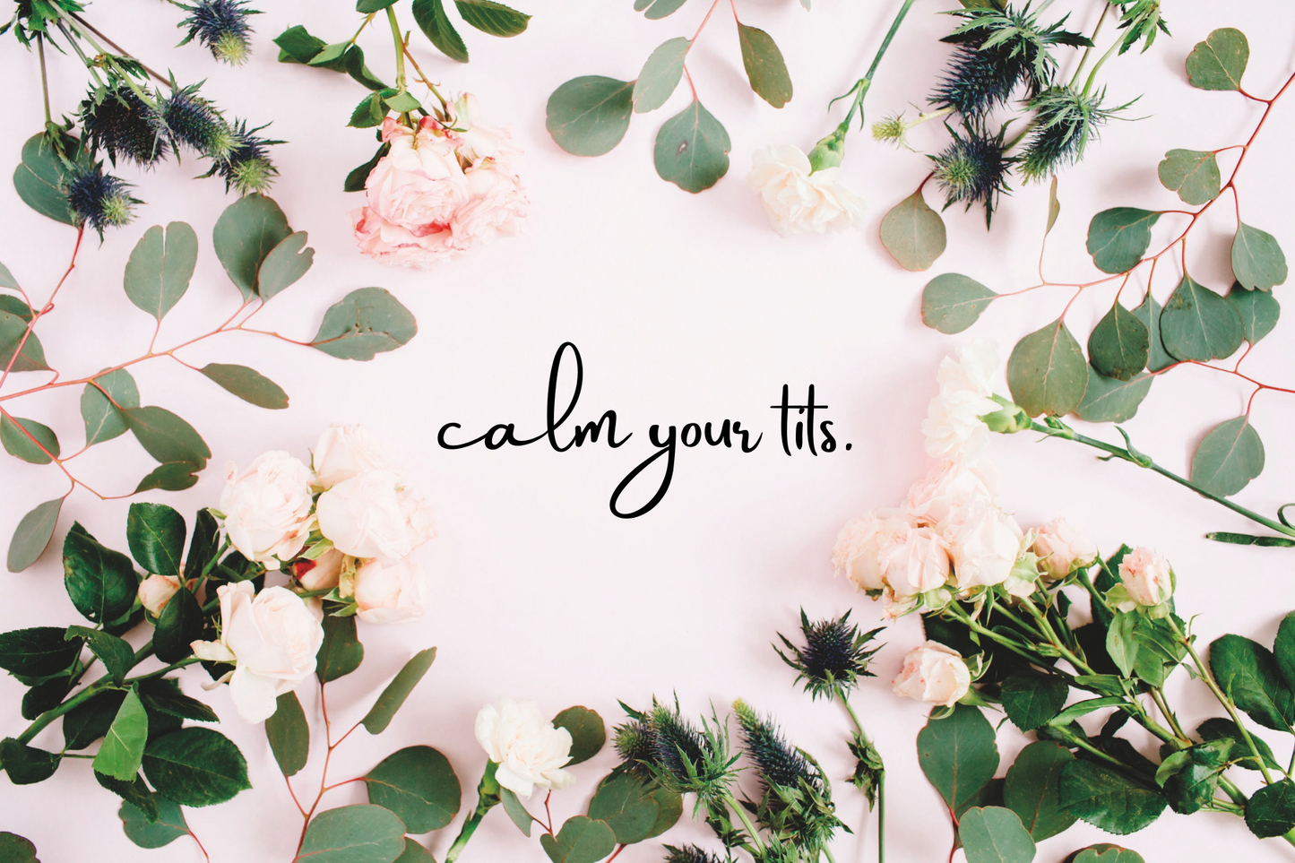 calm your tits card