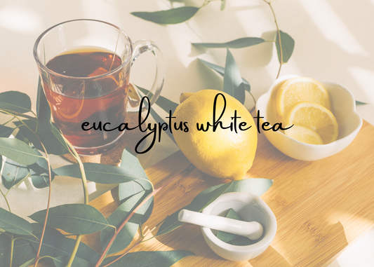 Eucalyptus White Tea Scent Collection