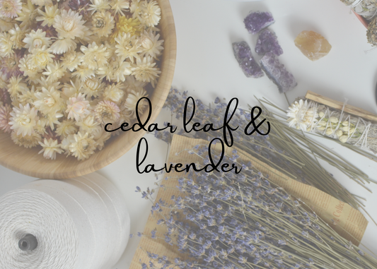 Cedar Leaf and Lavender Scent Collection