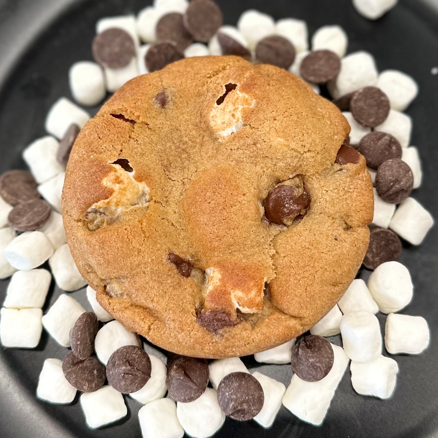 Snickerdoodle S'mores Specialty Cookie